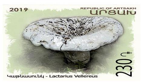 Ներմուծեք նկարագրությունը_2400